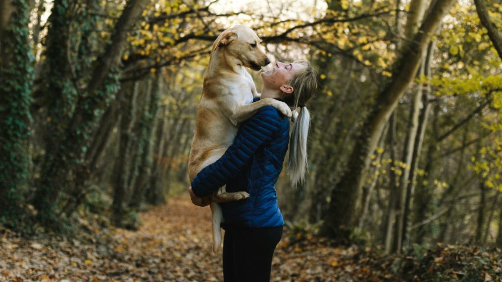 Problèmes de santé courants chez les chiens et comment les prévenir